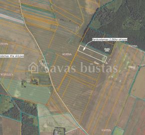 Parduodami du sklypai 4 ha ir 2,06ha žemės ūkio ir mi&scaron;ko ūkio paskirties sklypai. Sklypas randasi Pakruojo r.