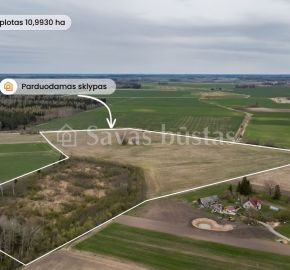 Parduodamas 10,9930 ha žemės ūkio paskirties sklypas Amalių k., Šiaulių r.