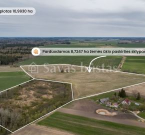 Parduodamas 8,7247 ha žemės ūkio paskirties sklypas Amalių k., Šiaulių r.