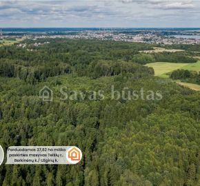 Parduodamas 37,82 ha i&scaron;puoselėtas mi&scaron;ko masyvas Tel&scaron;ių r., Berkinėnų k./Užgirių k.