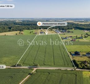 Parduodamas 7,98 ha žemės sklypas Radailiuose, vienoje patraukliausių Klaipėdos rajono vietų