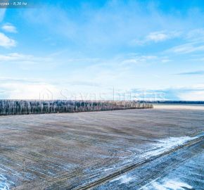 Parduodamas 8,36 ha  Ž.Ū.P. sklypas Bernatonių k., Panevėžio r.