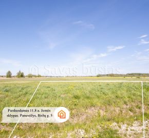 Parduodamas  namų valdos žemės sklypas Panevėžyje, Biržų g. 5