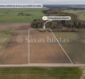 Parduodamas žemės ūkio paskirties sklypas Pakruojo rajone, Minelgių k.