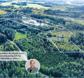 Parduodami du 11,61 ha bendro ploto sklypai gamtos apsuptyje, Lieplaukės k., Tel&scaron;ių r.