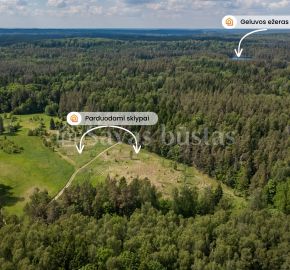 Parduodami du sklypai Maskvytės k., Kelmės g., Šiaulių r.