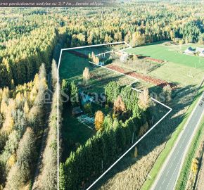 Prienų rajone, Žvyrynų k., šalia miško parduodama sodyba su rąstiniu namu, 3,7 ha., žemės sklypu, kuriame išvystytas šilauogių, slyvų ūkis.