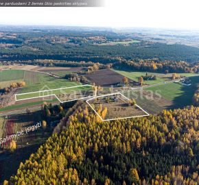 Prienų rajone, Žvyrynų k., parduodami 2 žemės ūkio paskirties sklypai, bendras plotas 6,43 ha.