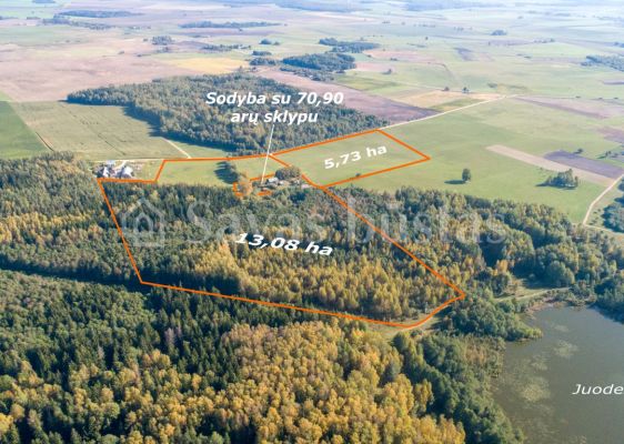 18,81 ha ploto žemės ūkio paskirties sklypai su mišku ir sodyba Radviliškio r., Tamošiškių k.