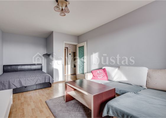 Išnuomojamas tvarkingas 1 kambario butas H. Manto g. 94, Klaipėdoje.