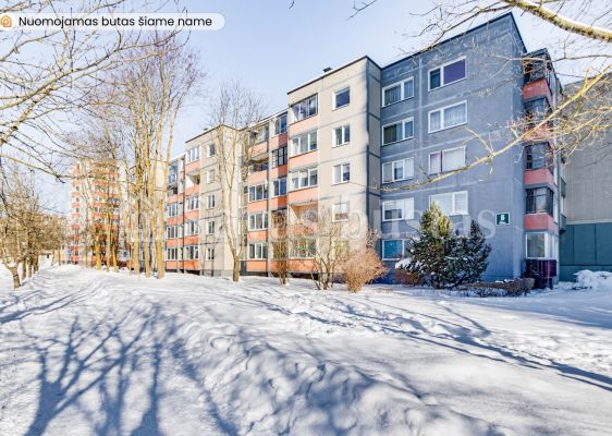 Išnuomojamas tvarkingas 2 – jų kambarių butas 2 – ame aukšte Dainų g. 6, Šiauliuose