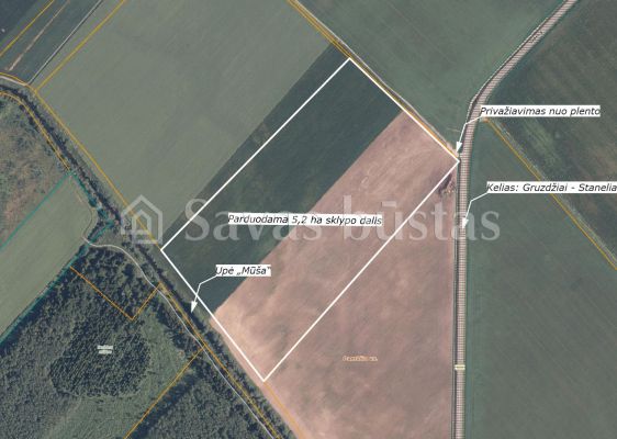 Parduodama 5,20 ha žemės ūkio paskirties sklypo iš bendro 8,10ha, geras privažiavimas (sklypas randasi prie asfaltuoto kelio Gruzdžiai – Staneliai/Rudiškiai).