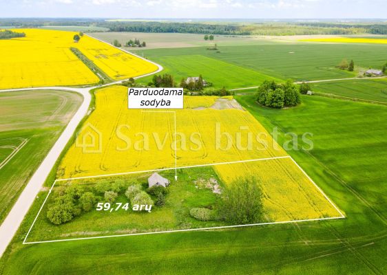Parduodama sodyba su 59,74 arų namų valdos sklypu Aušrėnų k., Radviliškio r.