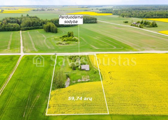Parduodama sodyba su 59,74 arų namų valdos sklypu Aušrėnų k., Radviliškio r.