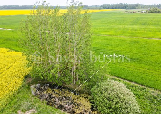 Parduodama sodyba su 59,74 arų namų valdos sklypu Aušrėnų k., Radviliškio r.