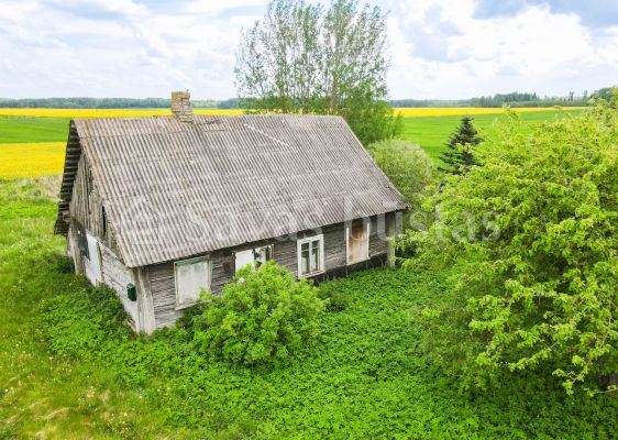 Parduodama sodyba su 59,74 arų namų valdos sklypu Aušrėnų k., Radviliškio r.