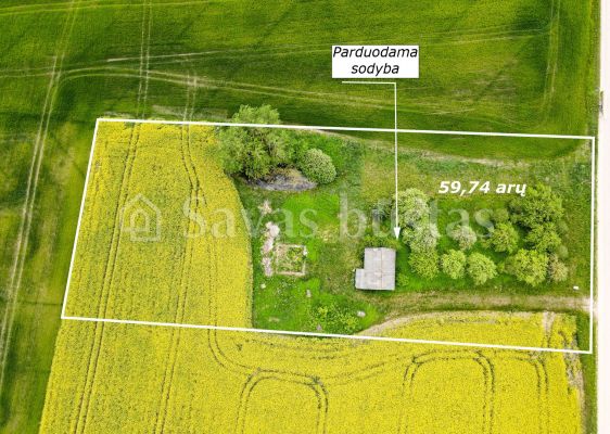 Parduodama sodyba su 59,74 arų namų valdos sklypu Aušrėnų k., Radviliškio r.