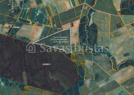 Parduodamas 12,26 ha žemės ūkio paskirties žemė Pasvalio rajone, Gustadalio kaime