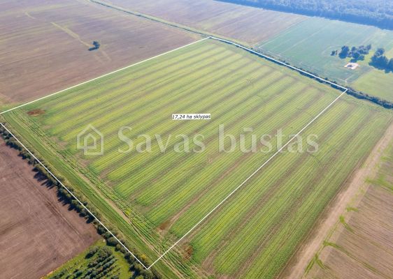 Parduodamas 17,24 ha, aukšto našumo balą turintis žemės ūkio paskirties sklypas, Suginčių k., Akmenės r.