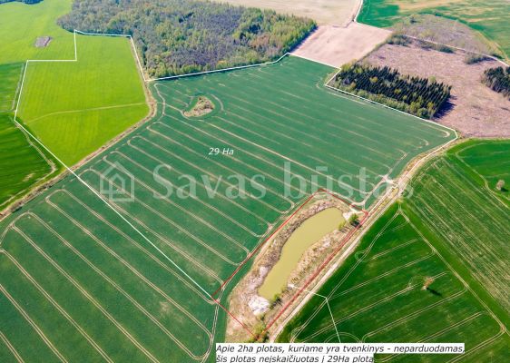 29 ha, itin aukšto našumo balą turintis žemės ūkio paskirties sklypas, Vagariškių k., Joniškio r.