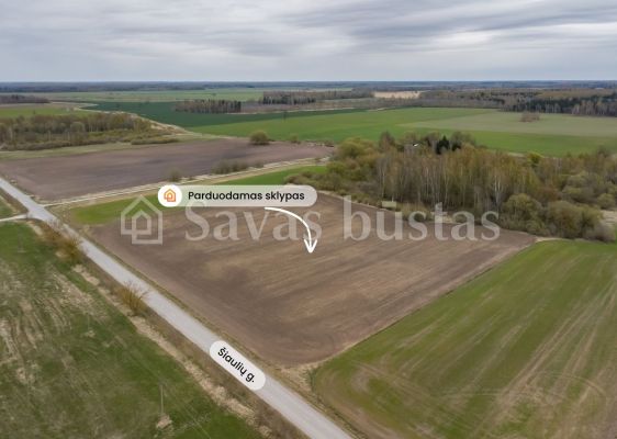 Parduodamas 2,4134 ha žemės ūkio paskirties sklypas Pakruojo rajone &ndash; Beinoraičių k.
