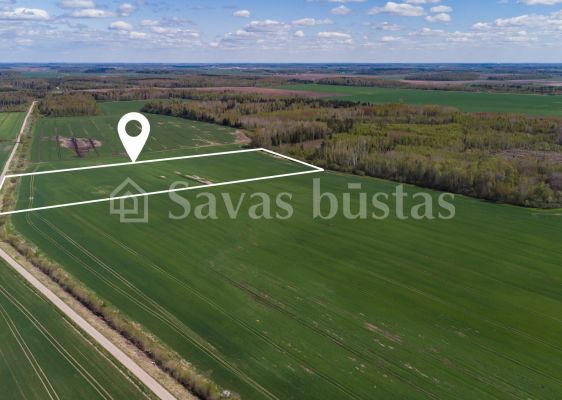 Parduodamas 4,68 ha žemės ūkio paskirties sklypas Šiaulių r., Bridų sen., Bridų k.