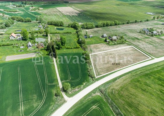 Parduodamas 60 arų žemės ūkio paskirties sklypas, Uogintų k., Kaišiadorių rajone.