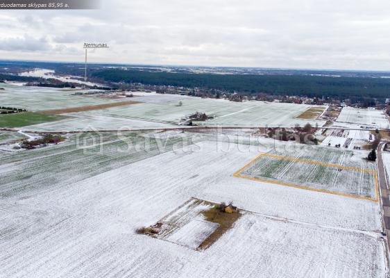 Parduodamas 85,95 a. žemės sklypas Kauno r., Netonių k.