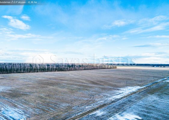 Parduodamas 8,36 ha  Ž.Ū.P. sklypas Bernatonių k., Panevėžio r.