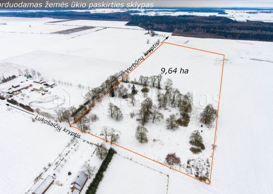 Parduodamas 9,64 ha žemės ūkio paskirties sklypas Augučių k., Šiaulių r.