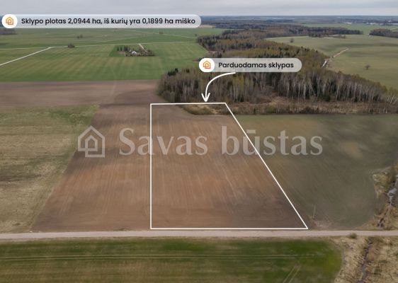 Parduodamas žemės ūkio paskirties sklypas Pakruojo rajone, Minelgių k.