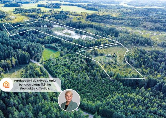 Parduodami du 11,61 ha bendro ploto sklypai gamtos apsuptyje, Lieplaukės k., Tel&scaron;ių r.