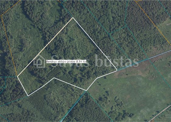 Parduodami trys sklypai, kurių bendras plotas 10,81 ha (sklypai – 8,94 ha, 1,15 ha ir 0,72 ha) žemės ūkio ir miško ūkio paskirties sklypai.