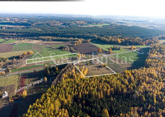 Prienų rajone, Žvyrynų k., parduodami 2 žemės ūkio paskirties sklypai, bendras plotas 6,43 ha.