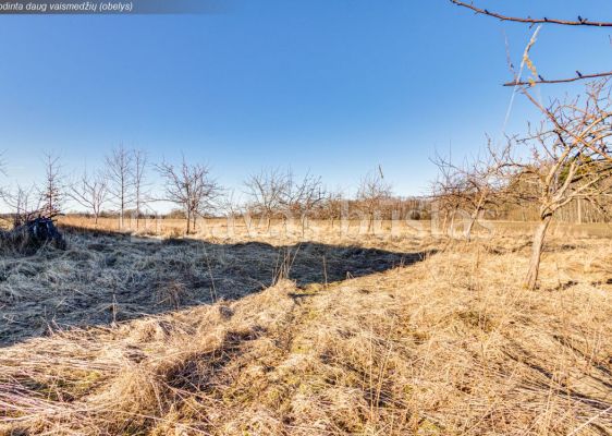 Parduodamas žemės ūkio paskirties sklypas Mažeikių rajone