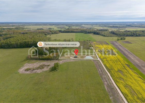 Unikalioje vietoje šalia miško parduodamas 64,69 arų namų valdos sklypas su vasarnamiu Klaipėdos r., Girininkų k., Vėžaičių g