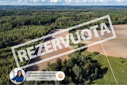 Parduodamas 6,50 ha žemės ūkio paskirties sklypas Kelmės r., Tytuvėnų sen., Valaičių k.