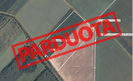 Parduodama 5,20 ha žemės ūkio paskirties sklypo iš bendro 8,10ha, geras privažiavimas (sklypas randasi prie asfaltuoto kelio Gruzdžiai – Staneliai/Rudiškiai).