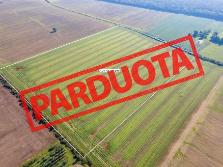 Parduodamas 17,24 ha, aukšto našumo balą turintis žemės ūkio paskirties sklypas, Suginčių k., Akmenės r.