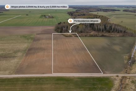 Parduodamas žemės ūkio paskirties sklypas Pakruojo rajone, Minelgių k.