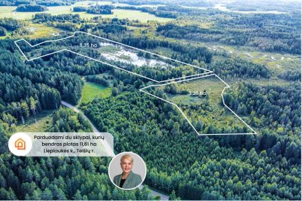 Parduodami du 11,61 ha bendro ploto sklypai gamtos apsuptyje, Lieplaukės k., Tel&scaron;ių r.