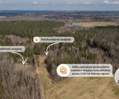 Parduodama sodyba gamtos apsuptyje, netoli Svilės &scaron;altinių &ndash; Gudmoni&scaron;kės k., Kelmės r.