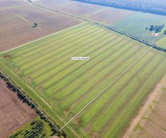 Parduodamas 17,24 ha, aukšto našumo balą turintis žemės ūkio paskirties sklypas, Suginčių k., Akmenės r.