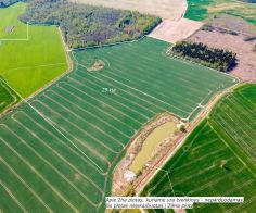 29 ha, itin aukšto našumo balą turintis žemės ūkio paskirties sklypas, Vagariškių k., Joniškio r.