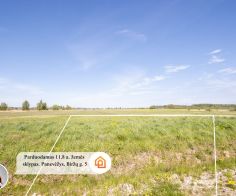 Parduodamas  namų valdos žemės sklypas Panevėžyje, Biržų g. 5