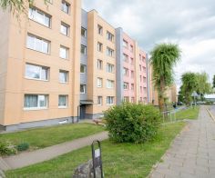 Parduodamas tvarkingas, su visais baldais ir buitine technika, 1 kambario butas, Laižuvos g. 10, Akmenė, Akmenės r.